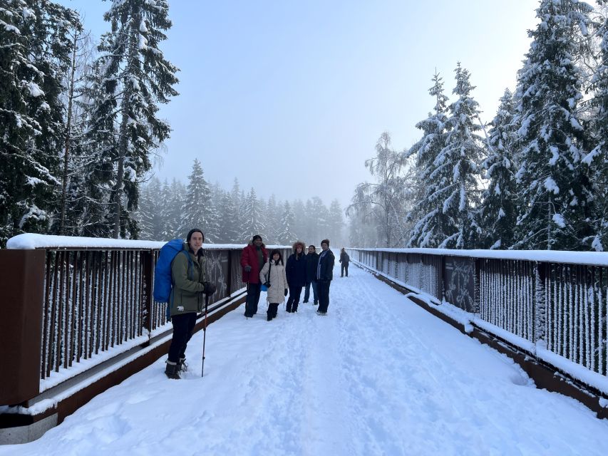 From Helsinki: Hike and Sauna in Sipoonkorpi National Park - Should you book it?