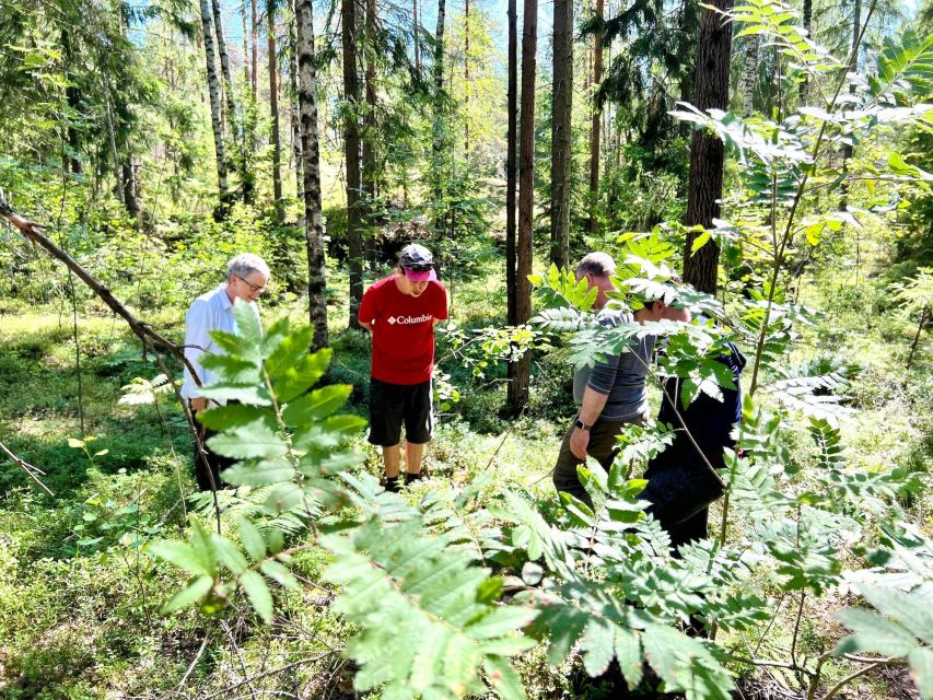 From Helsinki: Hike and Sauna in Sipoonkorpi National Park - Kuusijärvi Lake and the smoke sauna