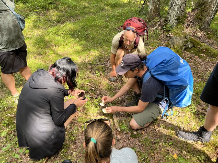 From Helsinki: Hike and Sauna in Sipoonkorpi National Park - Seasonal differences you should plan for