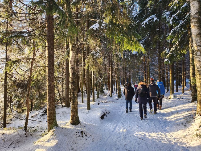 From Helsinki: Hike and Sauna in Sipoonkorpi National Park - Who should book this Helsinki day trip?