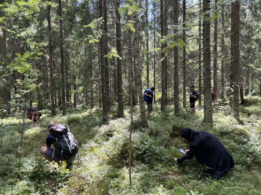 From Helsinki: Hike and Sauna in Sipoonkorpi National Park - A campfire lunch with a view