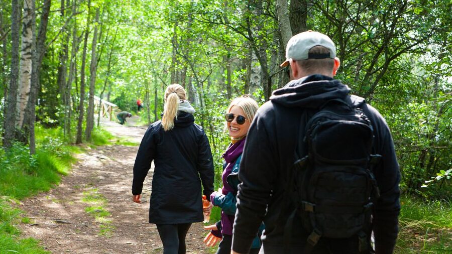 From Helsinki: Magical Taiga Hike in Liesjärvi National Park - Key points at a glance