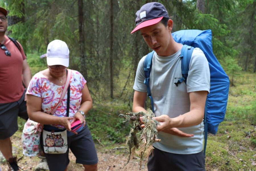 From Helsinki: Magical Taiga Hike in Liesjärvi National Park - Practical details before you reserve