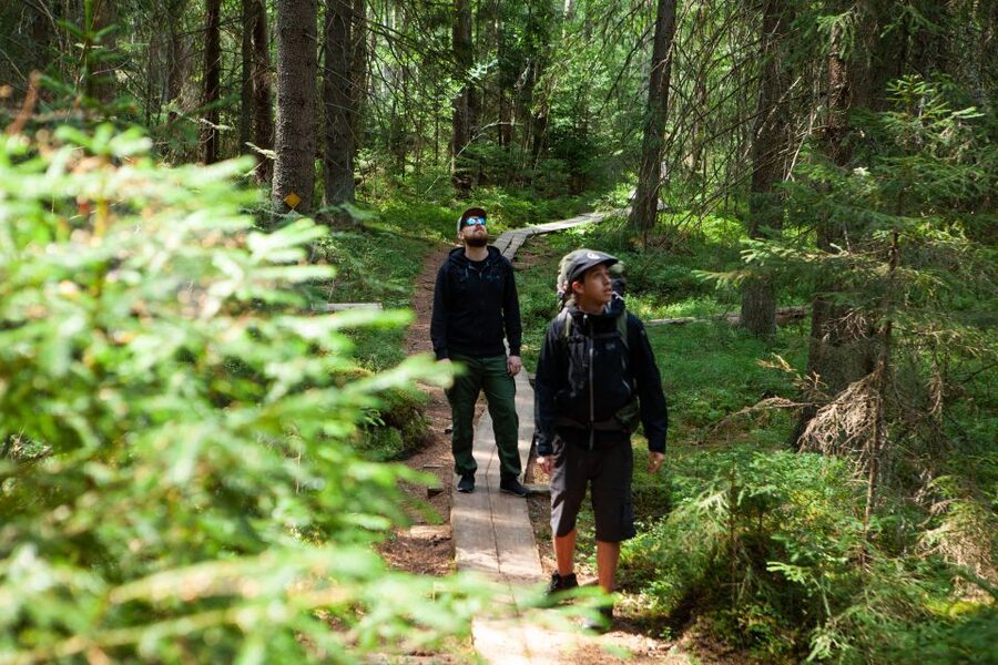 From Helsinki: Magical Taiga Hike in Liesjärvi National Park - Seasonal changes in the Taiga forest