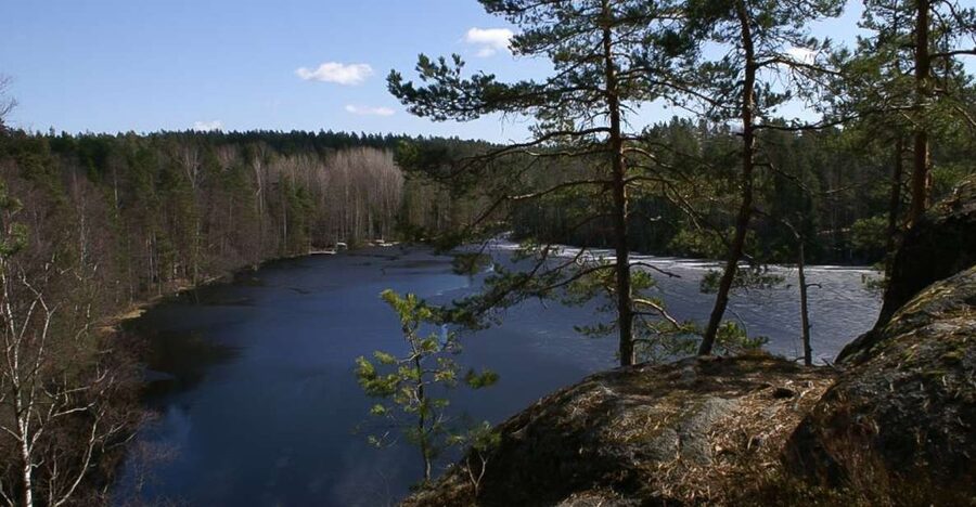 From Helsinki: Nuuksio National Park Half-Day Trip - At a glance