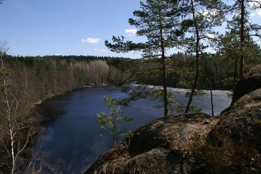 From Helsinki: Nuuksio National Park Half-Day Trip - Entering the spruce forest