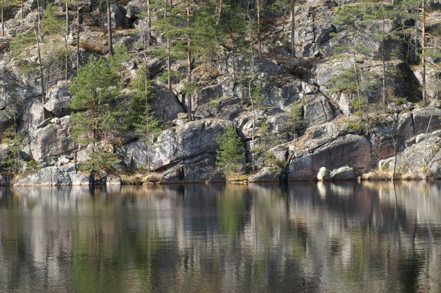 From Helsinki: Nuuksio National Park Half-Day Trip - Who should book this half-day trip?