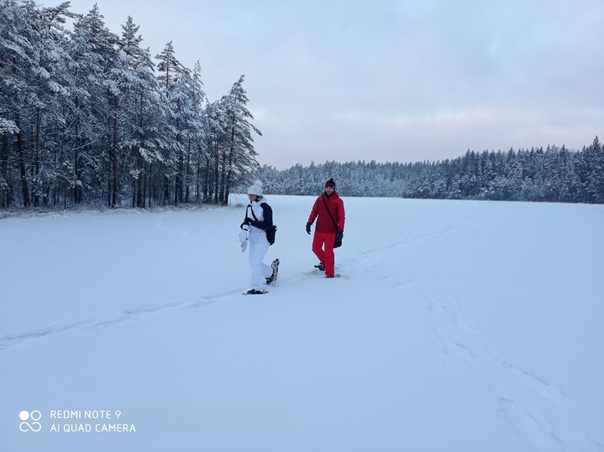 From Helsinki: Nuuksio National Park Hiking Tour with Food - Leaving Helsinki for Nuuksio in 35 Minutes