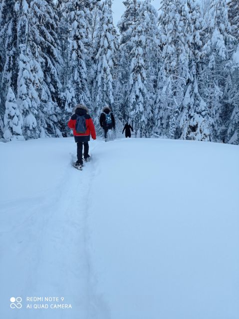 From Helsinki: Nuuksio National Park Hiking Tour with Food - What the $110 Price Gets You