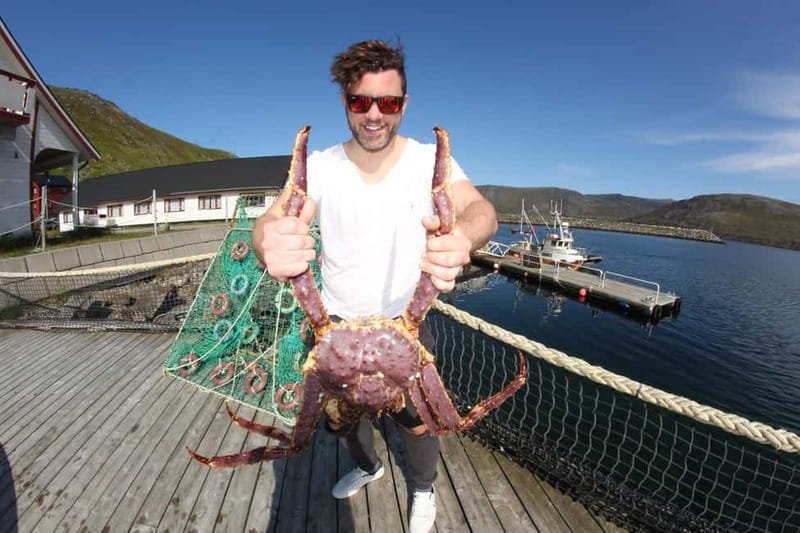From Honningsvåg: North Cape and King Crabs Tour - Why the North Cape and king crabs make a good pairing