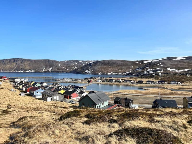 From Honningsvåg: North Cape and King Crabs Tour - Who should book this $194 excursion