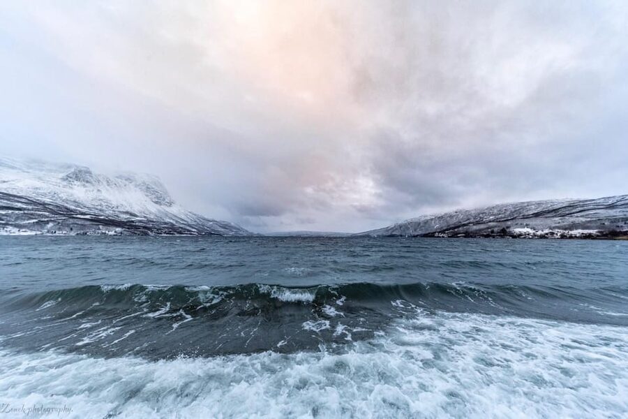 From Kiruna: Narvik City and Fjord Day Trip - The final call