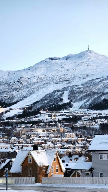 From Kiruna: Narvik City and Fjord Day Trip - Crossing into Norway and watching the scenery change
