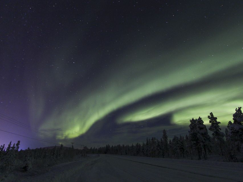 From Kiruna: Northern Lights Guided Husky Sledding Adventure - Why driving the sled matters