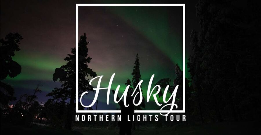 From Kiruna: Northern Lights Guided Husky Sledding Adventure - The 30-minute safety briefing