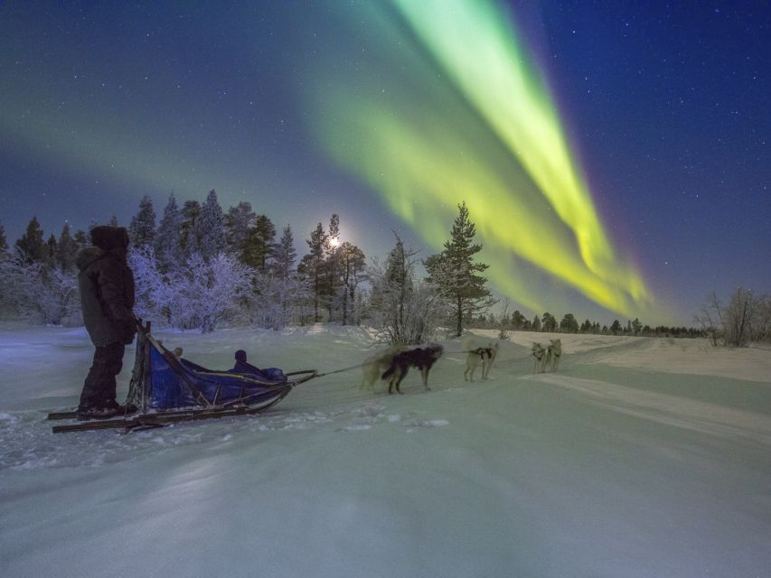 From Kiruna: Northern Lights Guided Husky Sledding Adventure - Is $276 good value?
