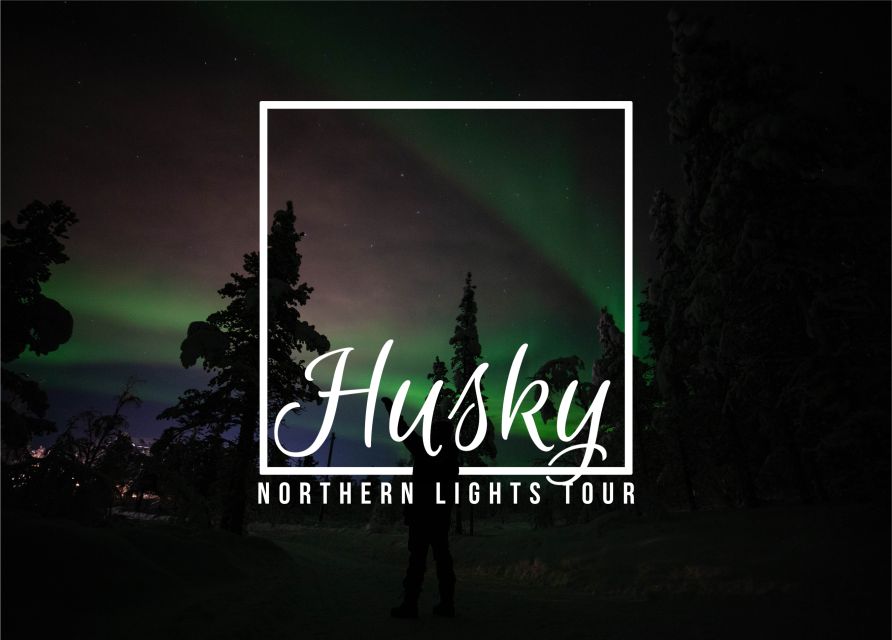 From Kiruna: Northern Lights Guided Husky Sledding Adventure - Meeting the huskies at Kalixforsbron