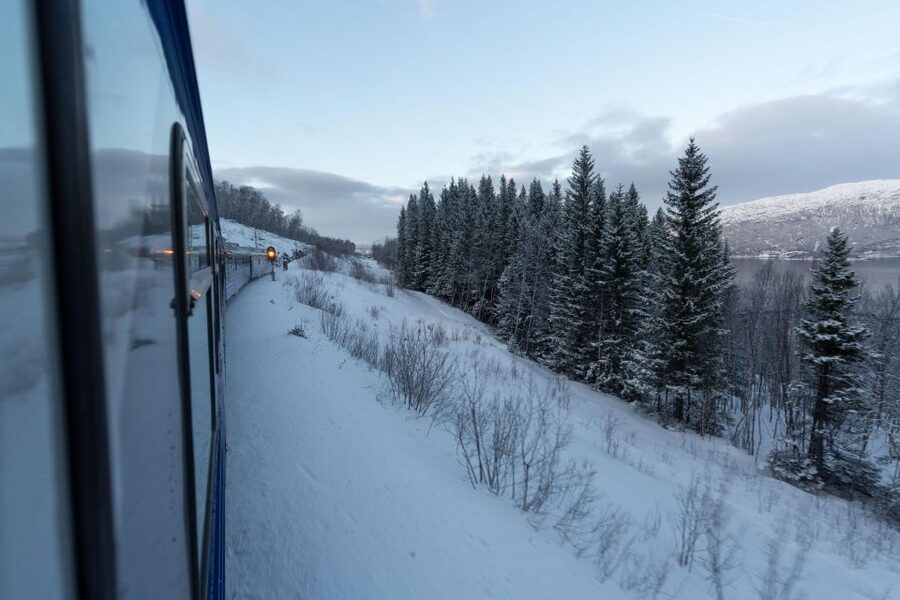 From Narvik: Roundtrip Arctic Train Ride on Ofoten Railway - Food, Wi-Fi, and small onboard details
