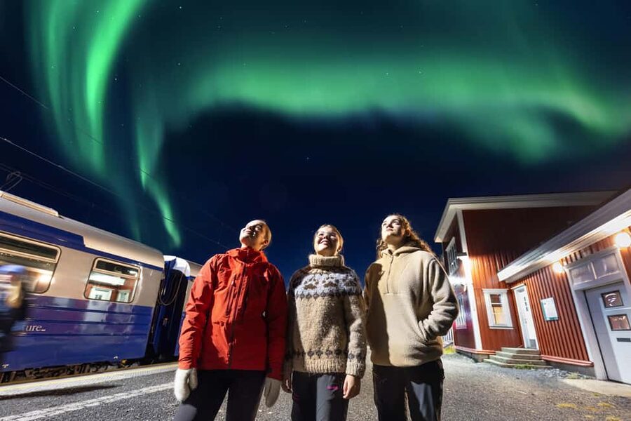 From Narvik: The Northern Lights Arctic Train Guided Tour - Key points to know before you book