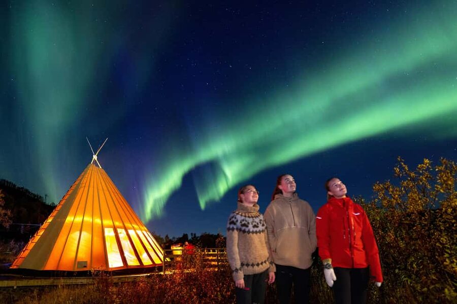 From Narvik: The Northern Lights Arctic Train Guided Tour - What the $142 price really covers