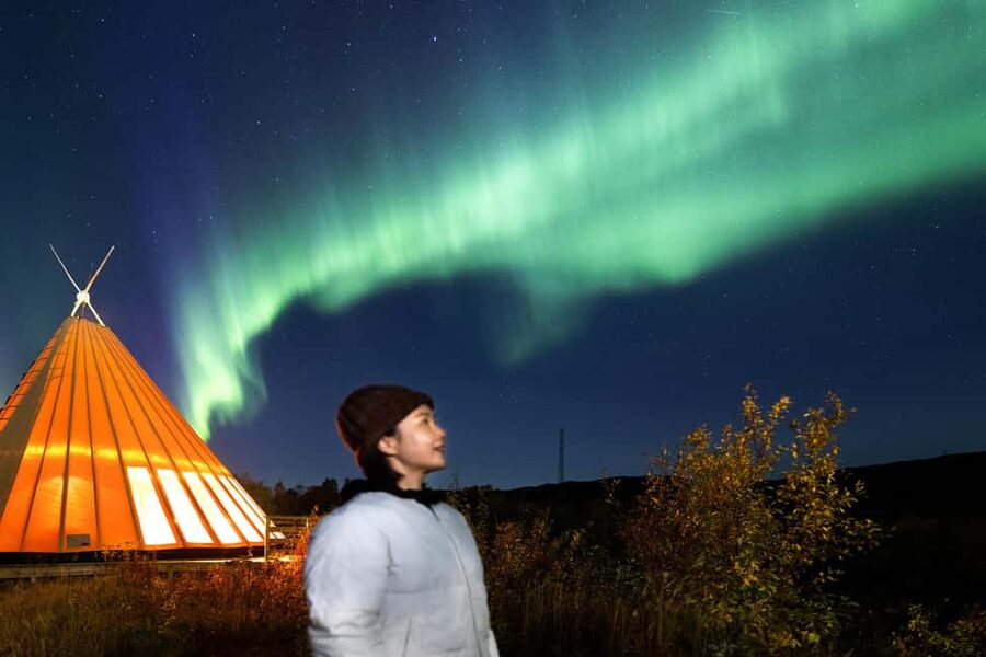 From Narvik: The Northern Lights Arctic Train Guided Tour - Should you book the Northern Lights Arctic Train?