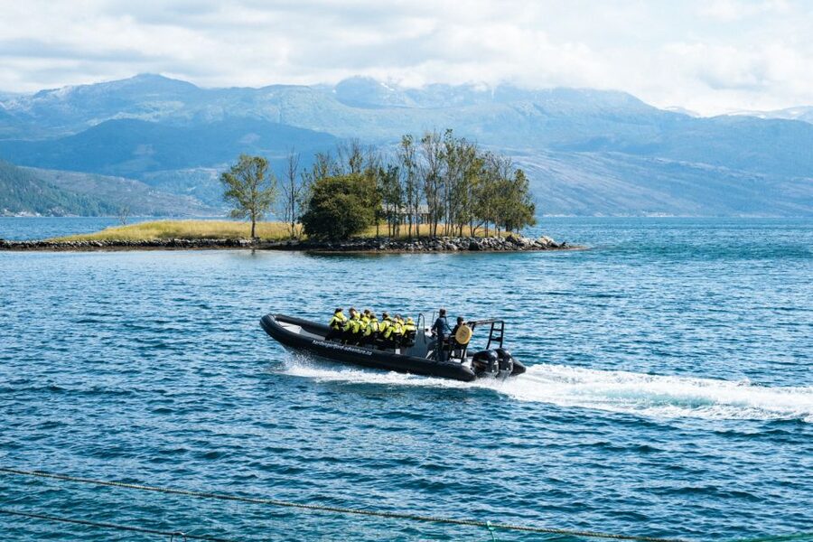 From Norheimsund: Hardangerfjord & Fyksesund RIB Fjord Tour - Who will enjoy it most