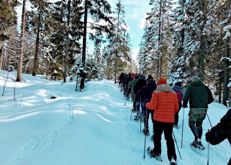 From Oslo: Oslomarka Forest Guided Snowshoeing Tour - From Backstube Opera to the Frognerseteren line