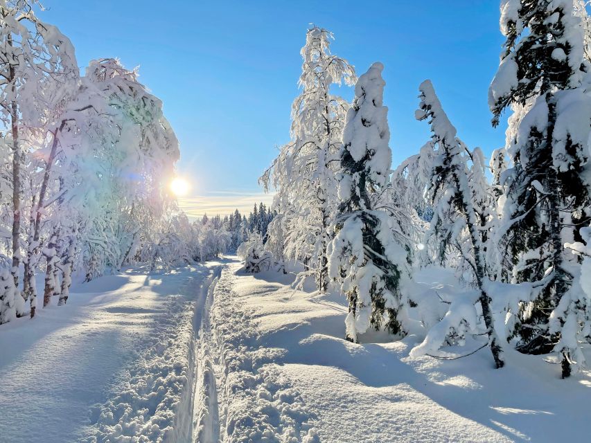 From Oslo: Oslomarka Forest Guided Snowshoeing Tour - Walking through a quiet winter forest