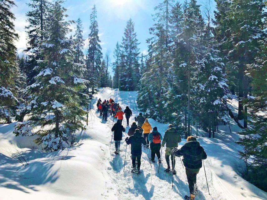 From Oslo: Oslomarka Forest Guided Snowshoeing Tour - The break that gives the outing its rhythm