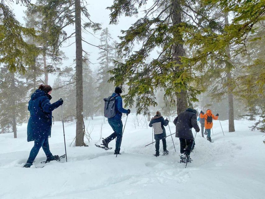 From Oslo: Oslomarka Forest Guided Snowshoeing Tour - Weather, snow, and what to wear