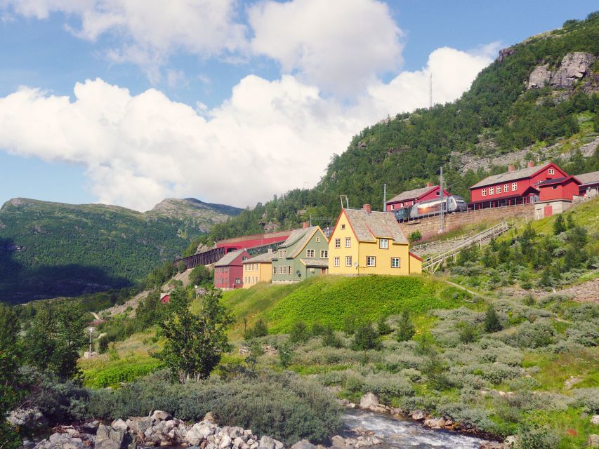 From Oslo: Private Round-Trip Tour to Sognefjord via Flåm - Why this Oslo to Sognefjord trip works