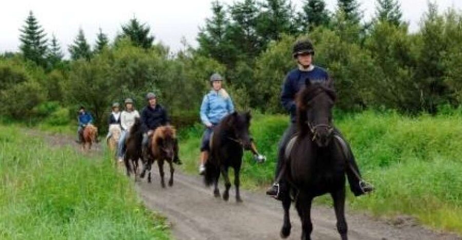 From Reykjavik: Full-Day Horse Riding & Golden Circle Tour - Why the horse ride is the strongest part