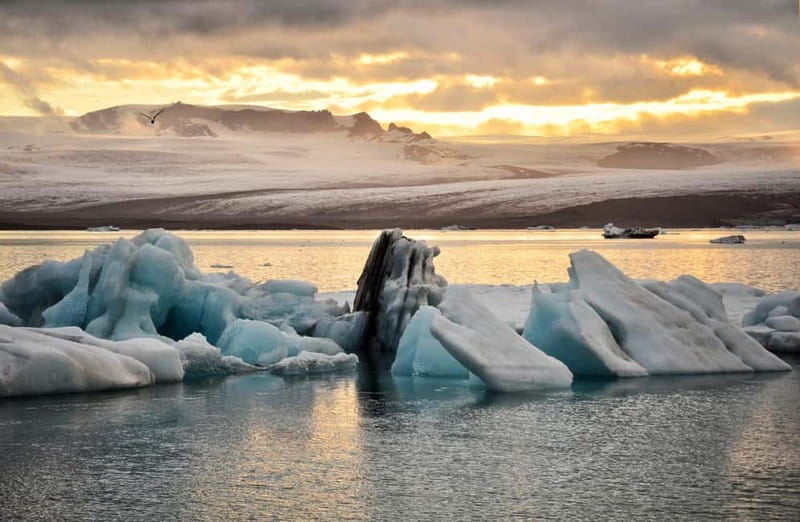 From Reykjavik: Glacier Lagoon and Fjaðrárgjúfur Canyon Tour - Key points at a glance