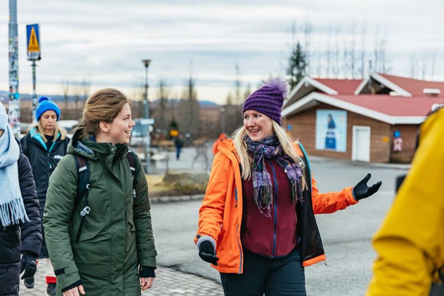 From Reykjavik: Golden Circle and Glacier Snowmobile Tour - Guides, commentary, and the long stretches between stops