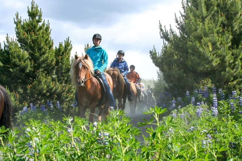 From Reykjavík: Icelandic Horse Riding Tour in Lava Fields - Key points to know before you ride