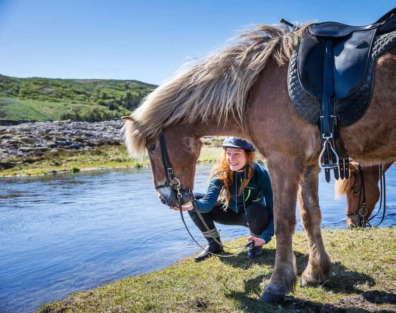 From Reykjavík: Icelandic Horse Riding Tour in Lava Fields - Riding volcanic ground only 20 minutes from Reykjavík