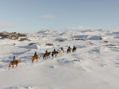 Icelandic Horse Riding Tour in Lava Fields
