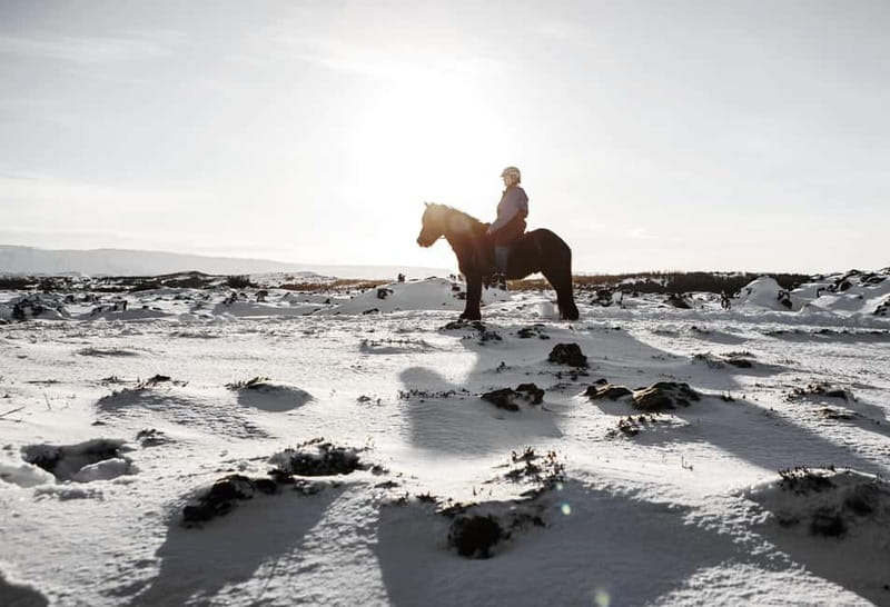 From Reykjavík: Icelandic Horse Riding Tour in Lava Fields - The Icelandic tölt makes this ride different
