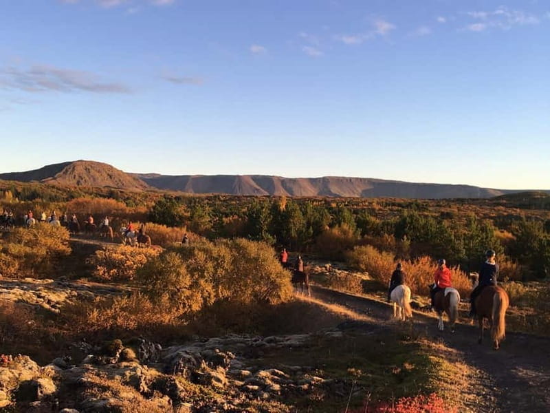 From Reykjavík: Icelandic Horse Riding Tour in Lava Fields - Optional hotel pickup and the practical timing