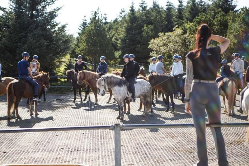 From Reykjavík: Icelandic Horse Riding Tour in Lava Fields - What the $141 price really buys you