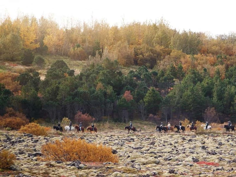 From Reykjavík: Icelandic Horse Riding Tour in Lava Fields - Should you book the Íshestar ride?