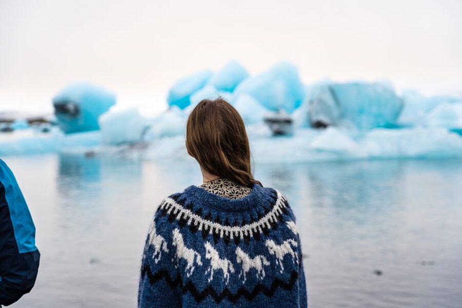 From Reykjavik: Jökulsárlón Glacier Lagoon and Diamond Beach - Who should book this tour