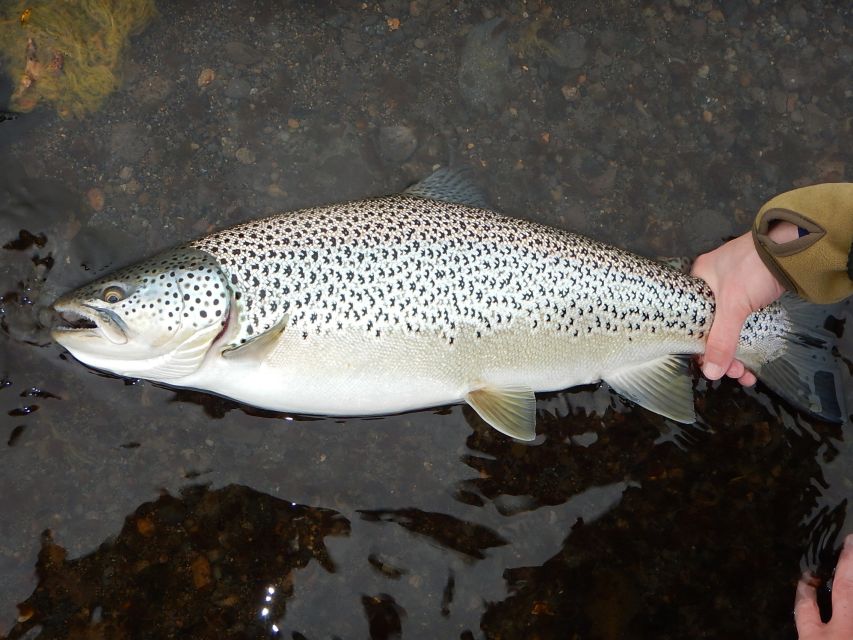From Reykjavik: Lake and River Fishing Tour - Weather is part of the fishing lesson