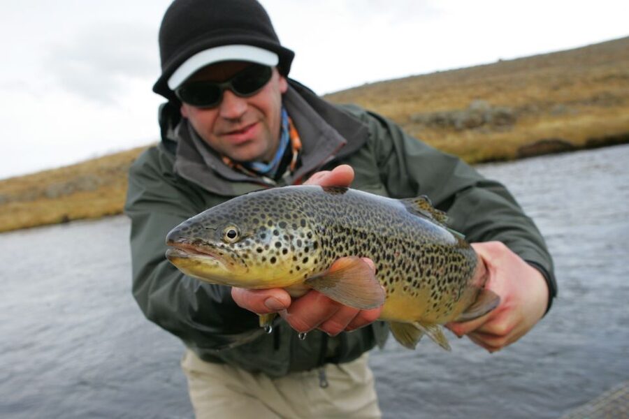 From Reykjavik: Lake and River Fishing Tour - Thingvellir gives the drive real value