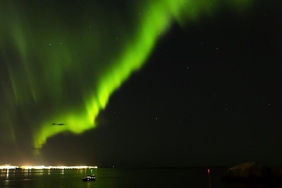 From Reykjavik: New Years Fireworks by Boat - Who should book the Arctic Rose?