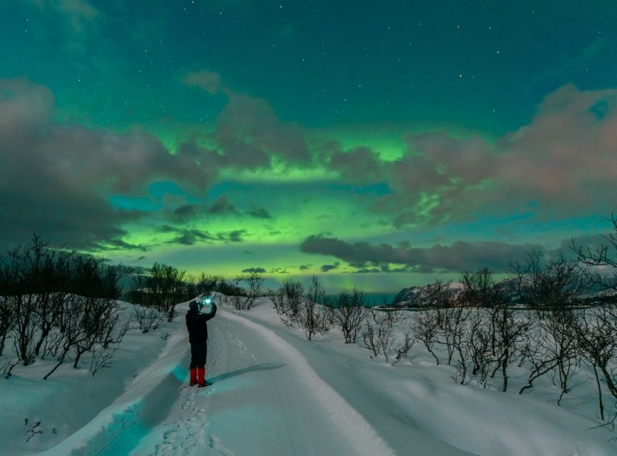 From Reykjavik: Northern Lights Chase with Expert Guide - Should You Book the $73 Northern Lights Chase?
