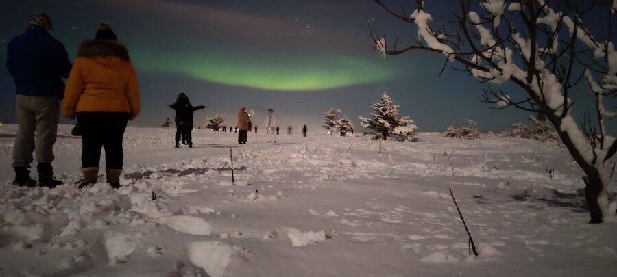 From Reykjavik: Northern Lights Chase with Expert Guide - The Waiting Game and the Payoff