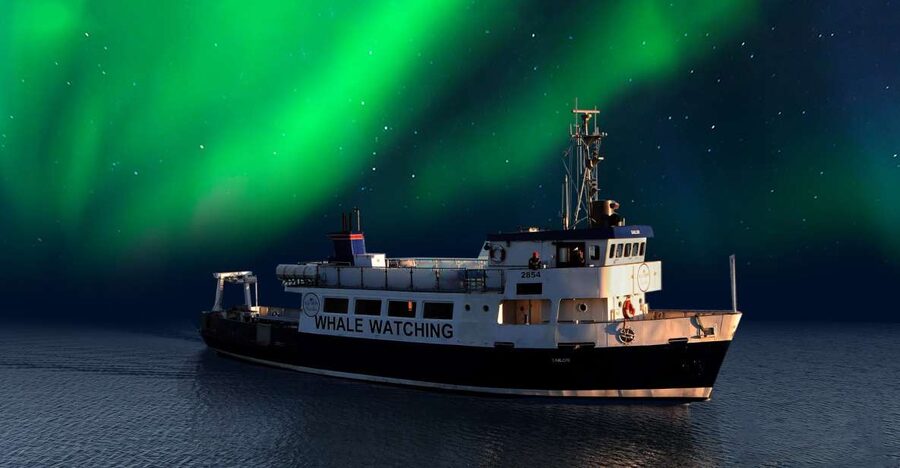 From Reykjavik: Northern Lights Sightseeing Cruise - Key points before you book
