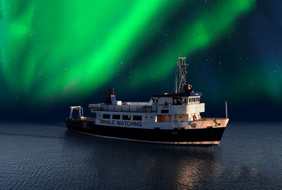 From Reykjavik: Northern Lights Sightseeing Cruise - Leaving Reykjavik’s Old Harbour after dark