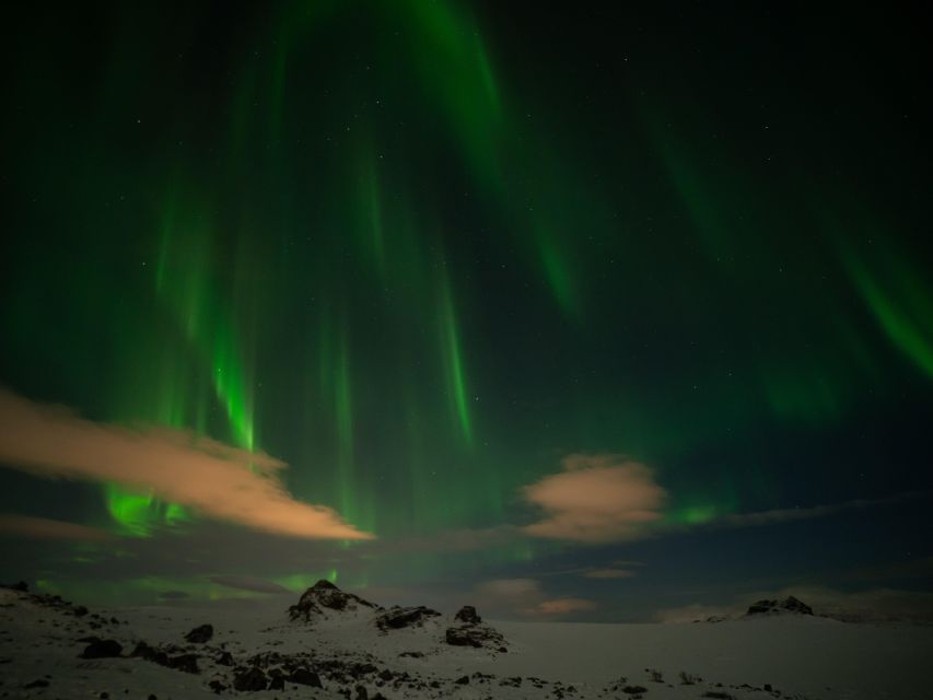 From Reykjavik: Northern Lights Tour with Hot Cocoa & Photos - What $169 gets you